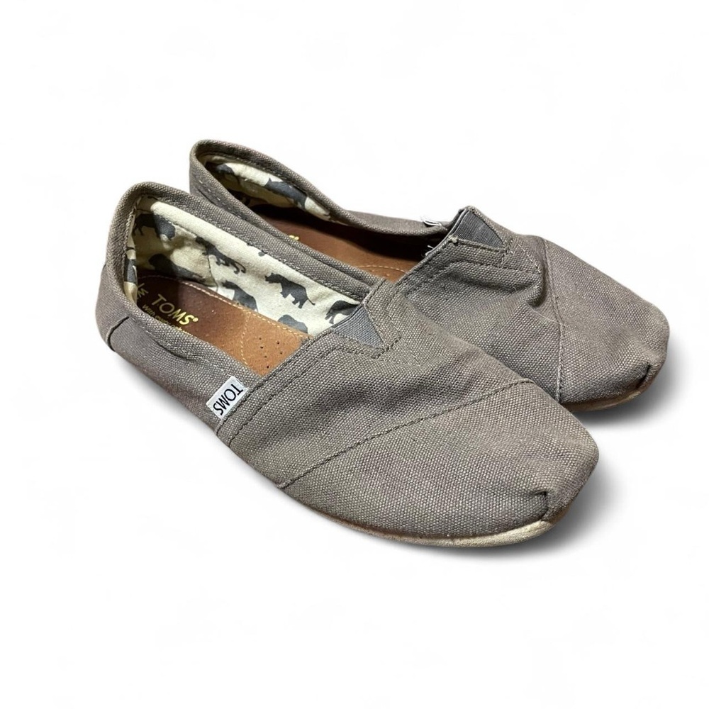 Brown-Grey and white Toms